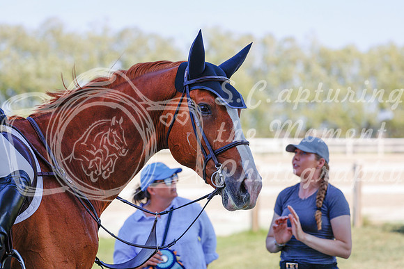 2025 - Haylee - Harvest Horse Show - Sunday, September 13th 06880