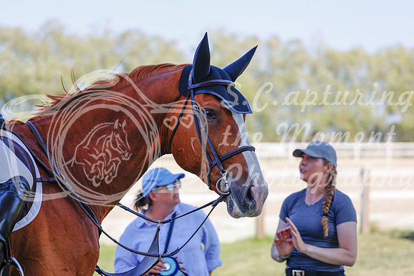 2025 - Haylee - Harvest Horse Show - Sunday, September 13th 06882