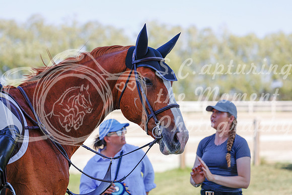 2025 - Haylee - Harvest Horse Show - Sunday, September 13th 06883