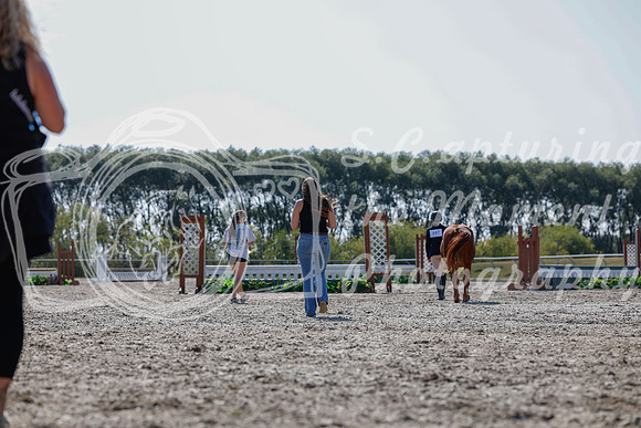 2025 - Haylee - Harvest Horse Show - Sunday, September 13th 12143