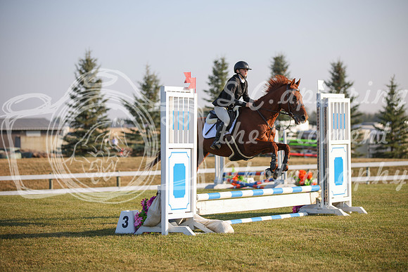 2025 - Karlee - Harvest Horse Show - Sunday, September 13th 00005