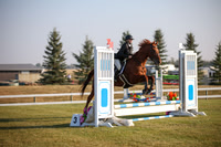 2025 - Karlee - Harvest Horse Show - Sunday, September 13th 00004