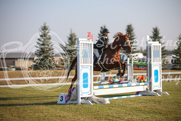 2025 - Karlee - Harvest Horse Show - Sunday, September 13th 00004