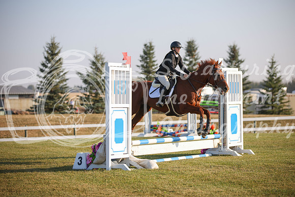 2025 - Karlee - Harvest Horse Show - Sunday, September 13th 00006