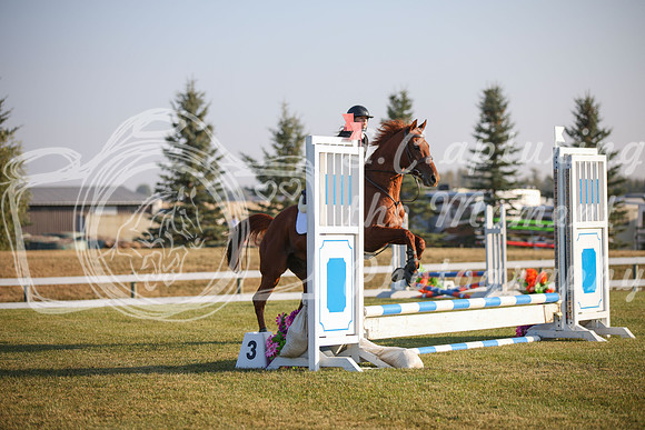 2025 - Karlee - Harvest Horse Show - Sunday, September 13th 00002
