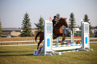 2025 - Karlee - Harvest Horse Show - Sunday, September 13th 00003