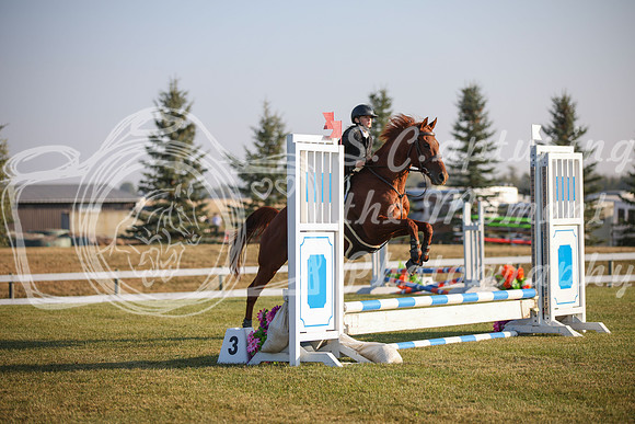 2025 - Karlee - Harvest Horse Show - Sunday, September 13th 00003