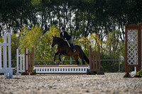 2025 - Petra - Harvest Horse Show - Sunday, September 13th 09570