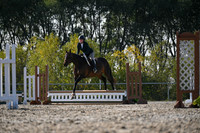 2025 - Petra - Harvest Horse Show - Sunday, September 13th 09571