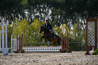 2025 - Petra - Harvest Horse Show - Sunday, September 13th 09569