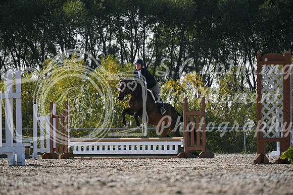 2025 - Petra - Harvest Horse Show - Sunday, September 13th 09569