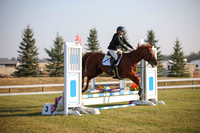 2025 - Karlee - Harvest Horse Show - Sunday, September 13th 00007