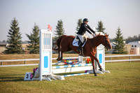 2025 - Karlee - Harvest Horse Show - Sunday, September 13th 00008