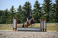 2025 - Petra - Harvest Horse Show - Sunday, September 13th 09574