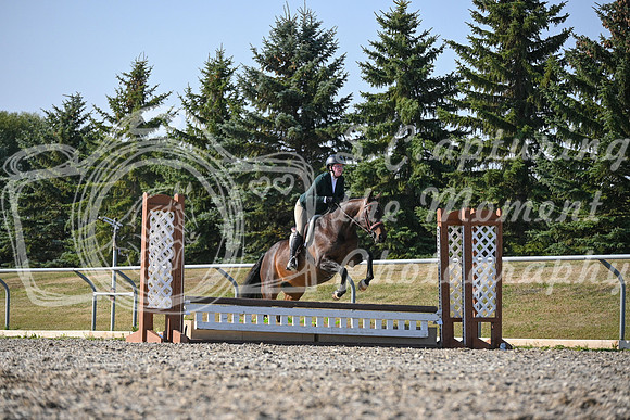 2025 - Petra - Harvest Horse Show - Sunday, September 13th 09574