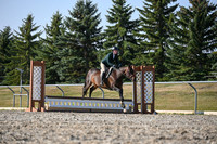 2025 - Petra - Harvest Horse Show - Sunday, September 13th 09576