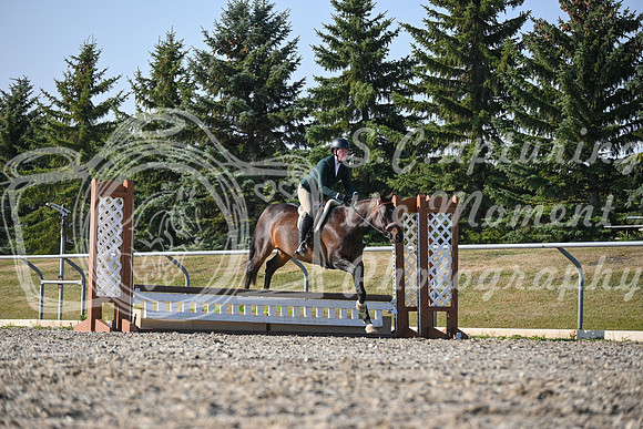 2025 - Petra - Harvest Horse Show - Sunday, September 13th 09576