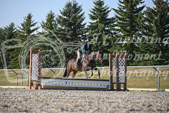 2025 - Petra - Harvest Horse Show - Sunday, September 13th 09575