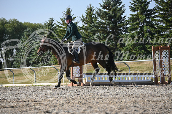 2025 - Petra - Harvest Horse Show - Sunday, September 13th 09582