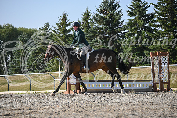 2025 - Petra - Harvest Horse Show - Sunday, September 13th 09581
