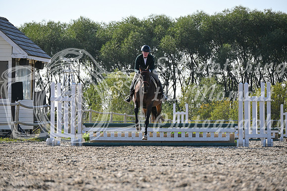 2025 - Petra - Harvest Horse Show - Sunday, September 13th 09579