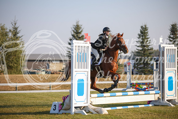 2025 - Karlee - Harvest Horse Show - Sunday, September 13th 00025