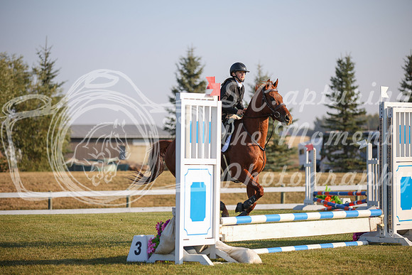 2025 - Karlee - Harvest Horse Show - Sunday, September 13th 00024