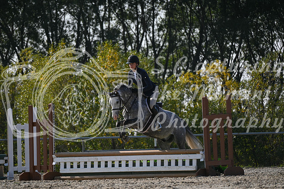 2025 - Petra - Harvest Horse Show - Sunday, September 13th 09583