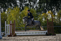 2025 - Petra - Harvest Horse Show - Sunday, September 13th 09584