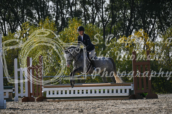 2025 - Petra - Harvest Horse Show - Sunday, September 13th 09584