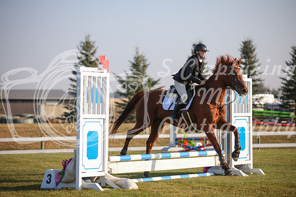 2025 - Karlee - Harvest Horse Show - Sunday, September 13th 00030
