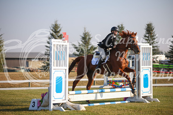 2025 - Karlee - Harvest Horse Show - Sunday, September 13th 00029