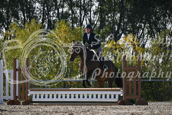2025 - Petra - Harvest Horse Show - Sunday, September 13th 09590