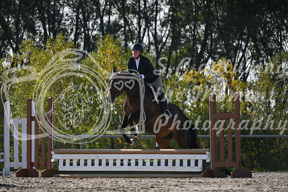 2025 - Petra - Harvest Horse Show - Sunday, September 13th 09591