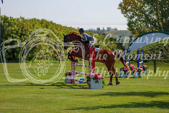 2025 - Shea - Fall Finale - Saturday September 13th - 03101