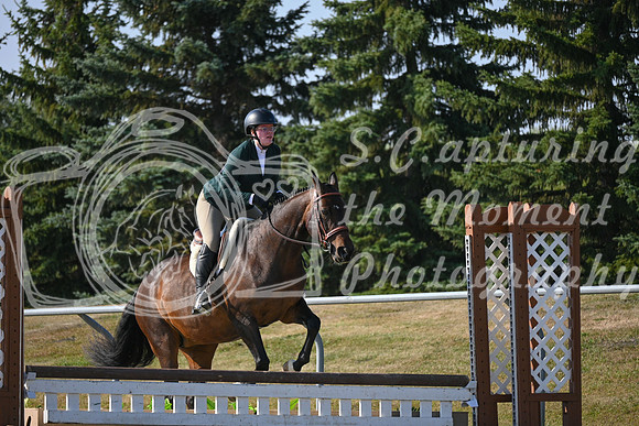 2025 - Petra - Harvest Horse Show - Sunday, September 13th 09594