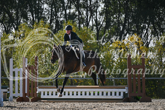2025 - Petra - Harvest Horse Show - Sunday, September 13th 09593
