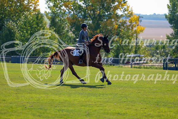 2025 - Shea - Fall Finale - Saturday September 13th - 03118