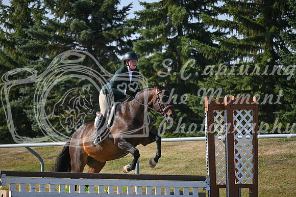 2025 - Petra - Harvest Horse Show - Sunday, September 13th 09595
