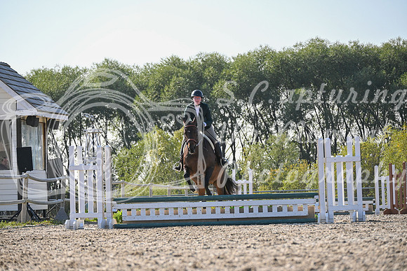 2025 - Petra - Harvest Horse Show - Sunday, September 13th 09598