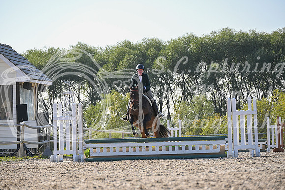 2025 - Petra - Harvest Horse Show - Sunday, September 13th 09599