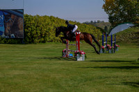 2025 - Shea - Fall Finale - Saturday September 13th - 09542