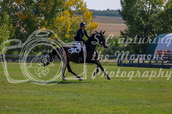 2025 - Shea - Fall Finale - Saturday September 13th - 09555