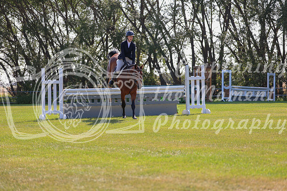 2025 - Conor - Harvest Horse Show - Sunday, September 13th 03468