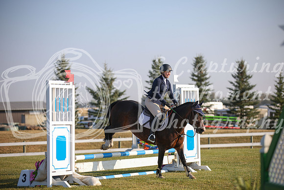 2025 - Karlee - Harvest Horse Show - Sunday, September 13th 00099