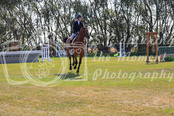 2025 - Conor - Harvest Horse Show - Sunday, September 13th 03470