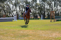 2025 - Conor - Harvest Horse Show - Sunday, September 13th 03471