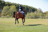 2025 - Conor - Harvest Horse Show - Sunday, September 13th 03472