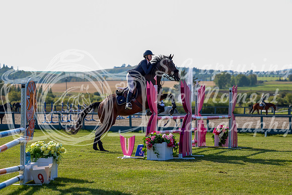 2025 - Shea - Fall Finale - Saturday September 13th - 02800