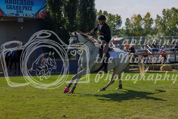 2025 - Shea - Fall Finale - Saturday September 13th - 11034